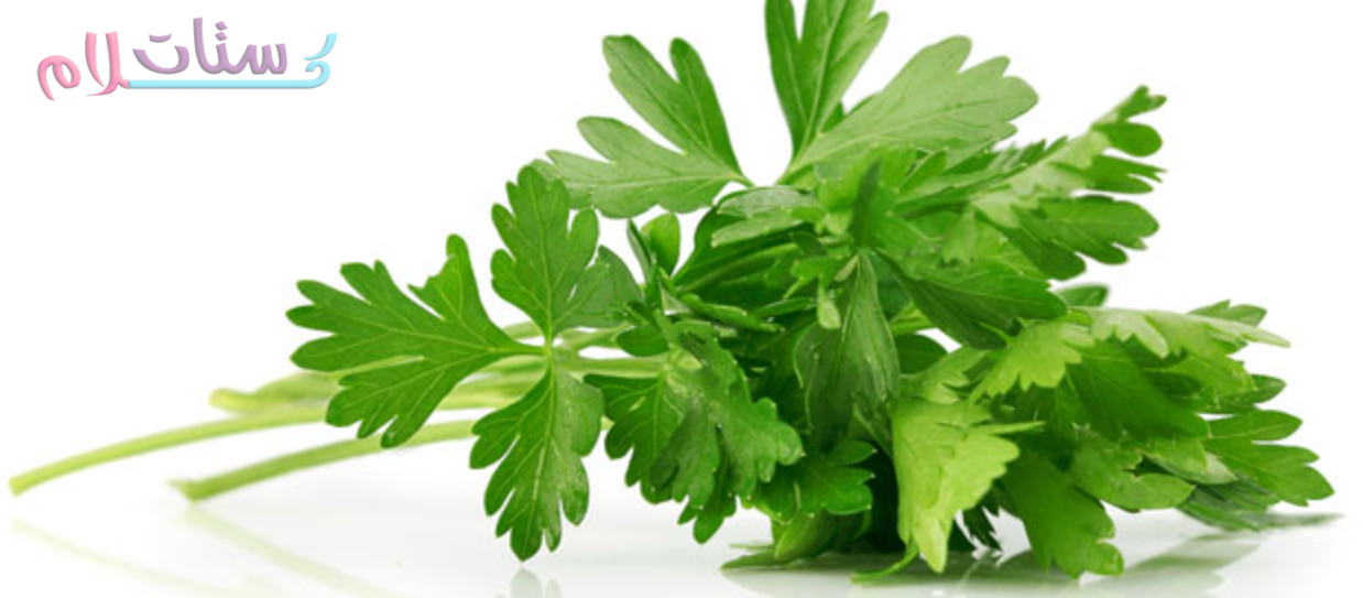 فوائد البقدونس