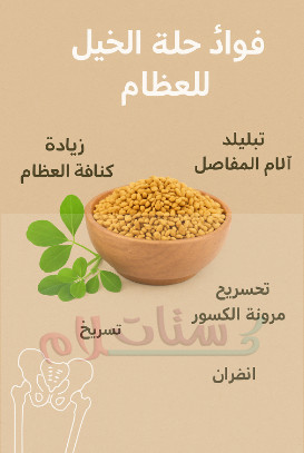 فوائد حلبة الخيل للعظام