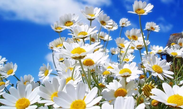 أفكار تساعدك على جعل اليوم مميزًا