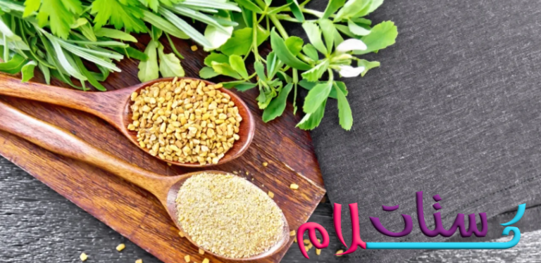 طريقة استخدام حلبة الخيل